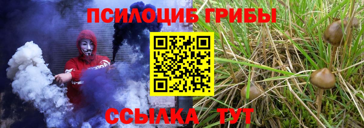 Псилоцибиновые грибы Cubensis  Вход с VPN  Псилоцибиновые грибы прущие грибы  Орехово-Зуево 